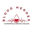 Blood Heroes Society Logo