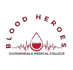 Blood Heroes Society Logo